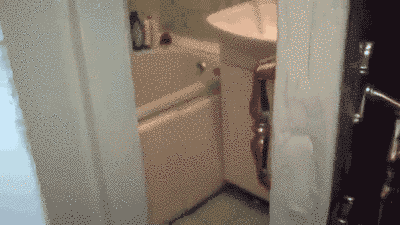 20 macskás gif, amit ha megnézel egész nap mosolyogni fogsz