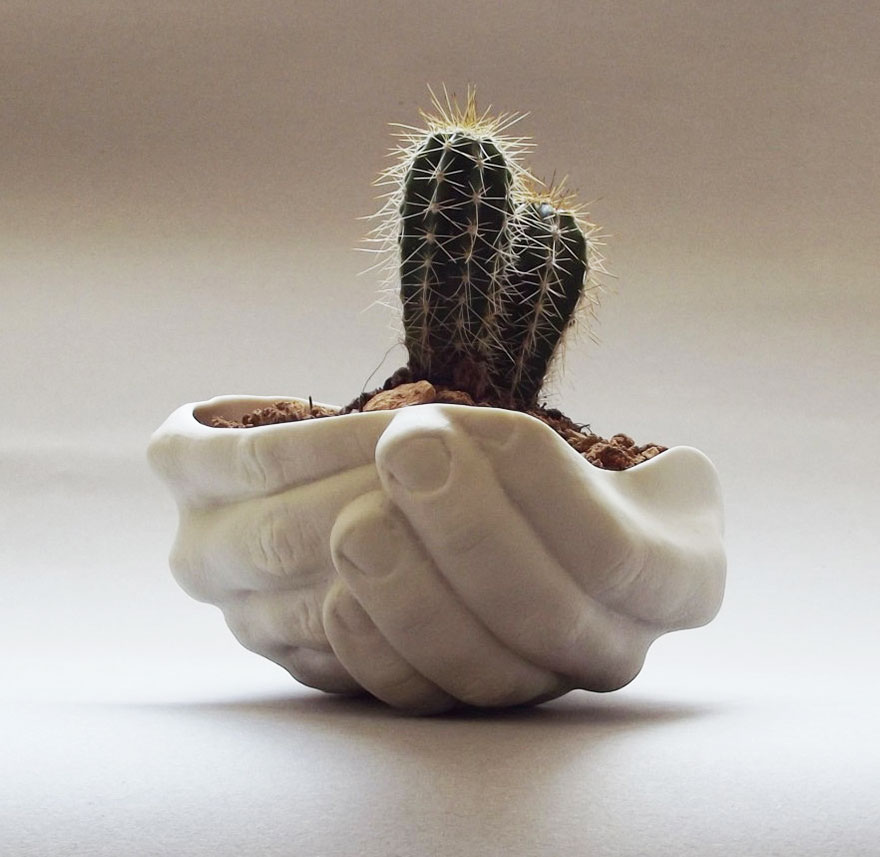 A legkreatívabb növénytartók, hogy zöldebb legyen az otthonod