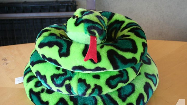 A kígyókat még azok a gyerekek is hamar észreveszik, akik korábban még játék formájában sem láttak ilyen hüllőt 