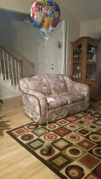 Zseniális megoldással gondoskodott róla, hogy ne veszítse el kiscicáját