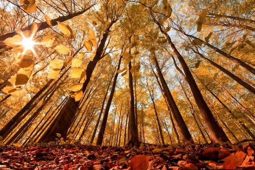Megdőlt a fővárosi melegrekord