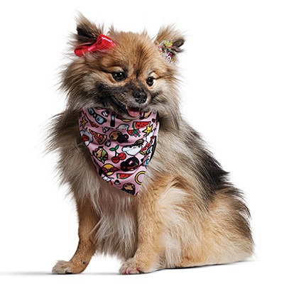 Gwen Stefani punk kutyáknak tervez