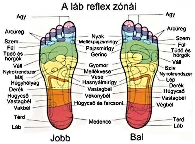 Gyógyítsd magad talpon át