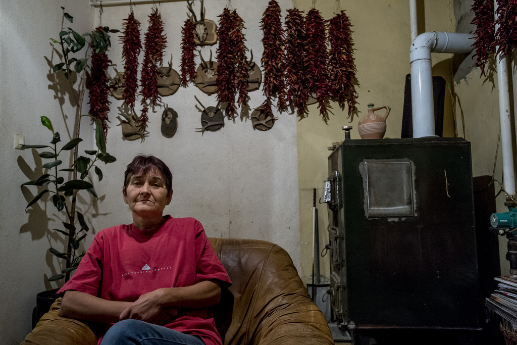 Szilágyiék a kertben termelik a pirospaprikát Fotó: Hajdú D. András