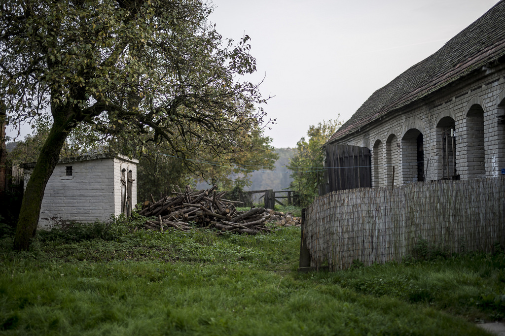 Valaha ötven hízójuk volt a házuk mögötti istállóban Fotó: Hajdú D. András