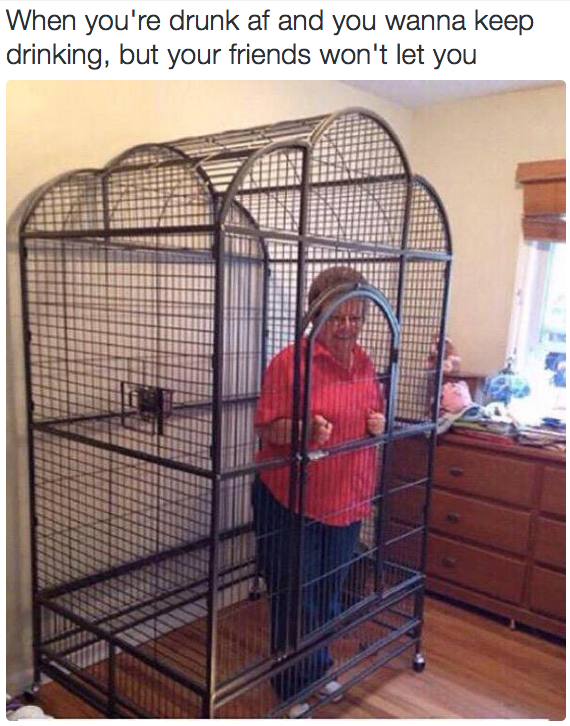 8 dolog, amit csak az igazi partiállatok érthetnek meg