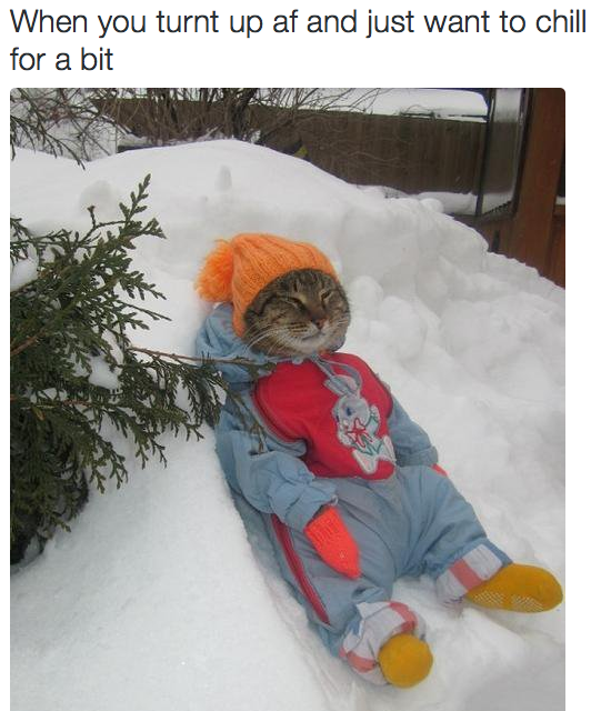 8 dolog, amit csak az igazi partiállatok érthetnek meg