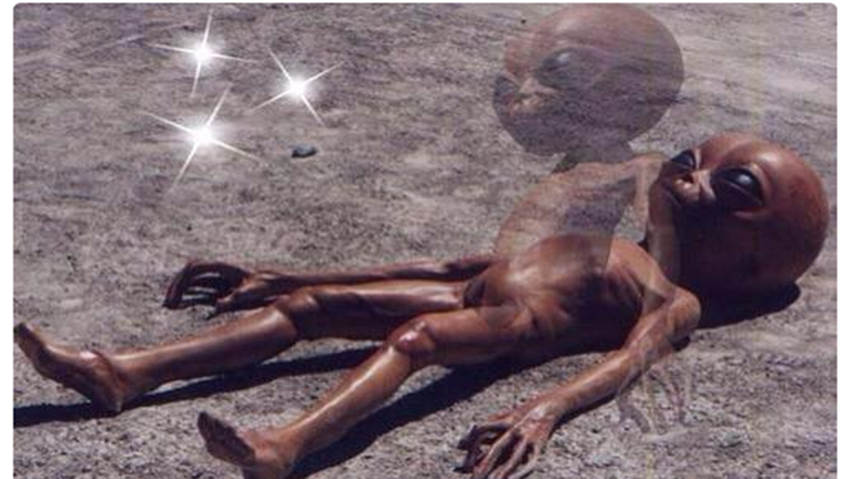 8 dolog, amit csak az igazi partiállatok érthetnek meg