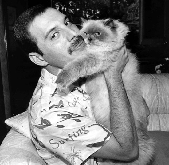 24 éve hunyt el Freddie Mercury – 10 érdekesség, amit nem tudtál a Queen énekeséről