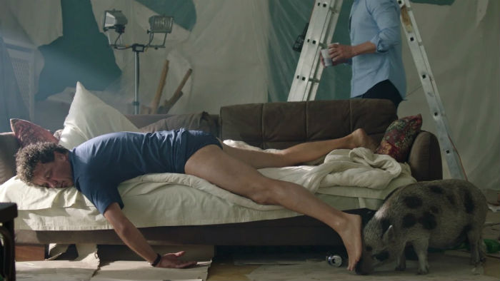 Ez a disznó lett a Válótársak sztárja