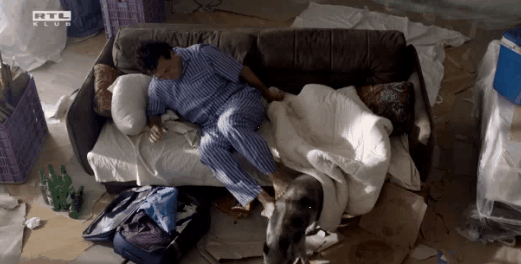 Ez a disznó lett a Válótársak sztárja