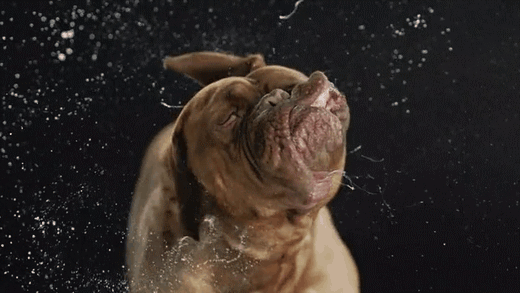 A Forrest Gumtól a Segítség, felnőttemig – Itt az óriási Tom Hanks-toplistánk A Forrest Gumtól a Segítség, felnőttemig – Itt az óriási Tom Hanks-toplistánk