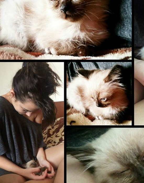 Tóth Andiéknál bővült a család - fotó Tóth Andiéknál bővült a család - fotó