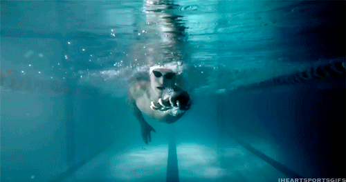 10 embertípus az uszodából