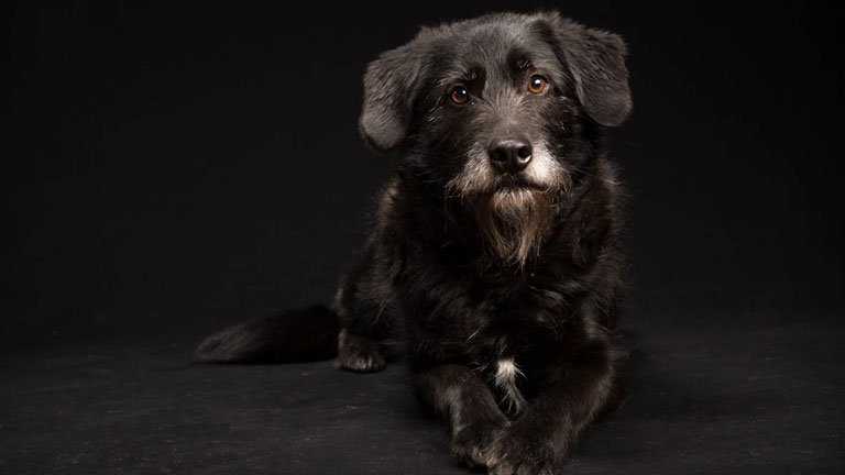 Öreg és fekete, a legrosszabb kombináció (Fotó: Tumblr.com)