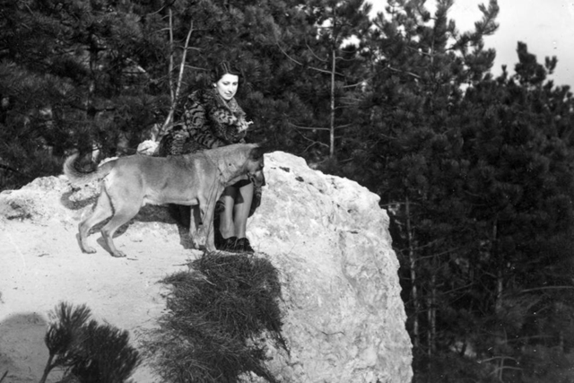 Ilyen csodálatosan elegánsak voltak nagyanyáink a régi teleken - galéria
