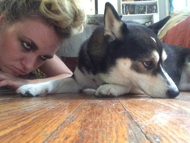 A 2015-ös év egyértelműen a siba inu kutyák éve volt