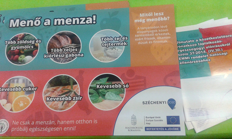 Menzaügy: éljen a vasfű, ami alkalmas a só kiváltására