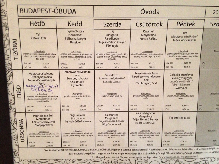 Menzaügy: éljen a vasfű, ami alkalmas a só kiváltására