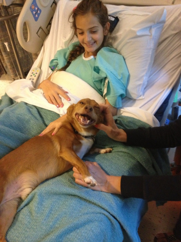 10 ok, amiért mondj köszönetet a kutyádnak