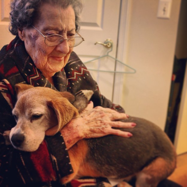 10 ok, amiért mondj köszönetet a kutyádnak