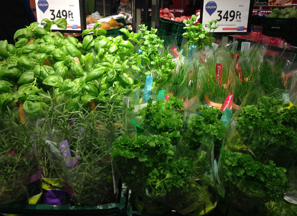 Leteszteltük Bernáth József szakácskönyvét