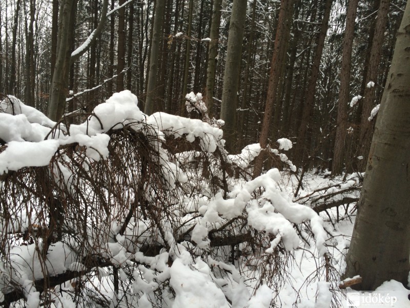 10 kép és videó a havazásról - Délnyugaton és Budapesten már esik