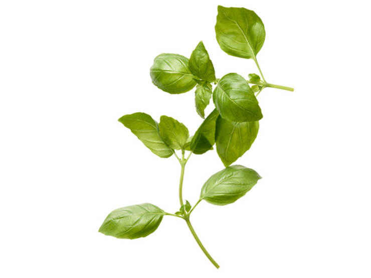 Gyulladáscsökkentő ételek