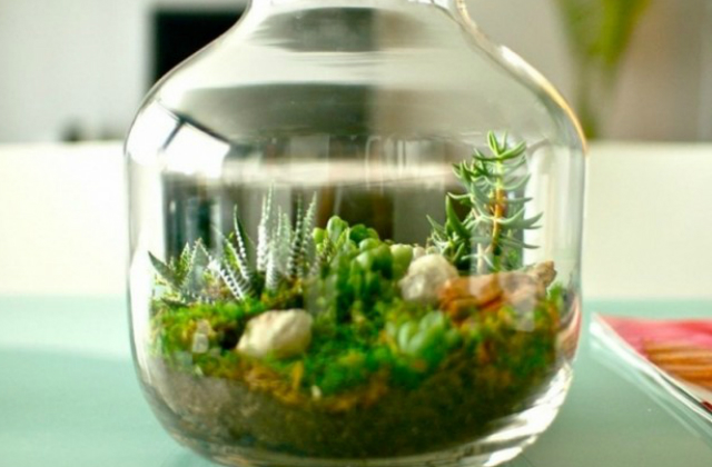 7 ötletes mini terrárium, amitől leesik az állad – fotók 