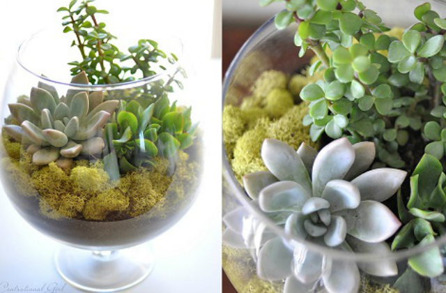 7 ötletes mini terrárium, amitől leesik az állad – fotók 