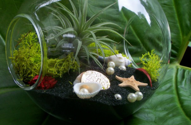 7 ötletes mini terrárium, amitől leesik az állad – fotók 