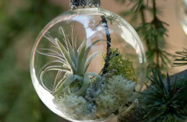 Vagy lógatható díszként, növényeket is rakhatunk bele