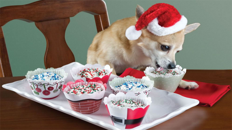 A legmókásabb karácsonyi ajándékok kutyáknak