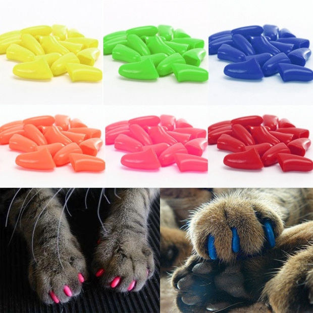 A legmókásabb karácsonyi ajándékok kutyáknak