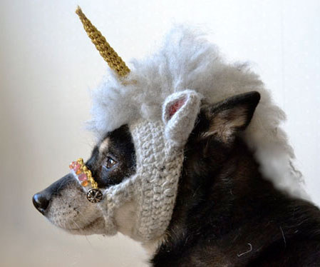 A legmókásabb karácsonyi ajándékok kutyáknak