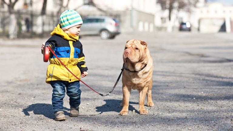 Ezért érdemes kutyát venni a gyereknek