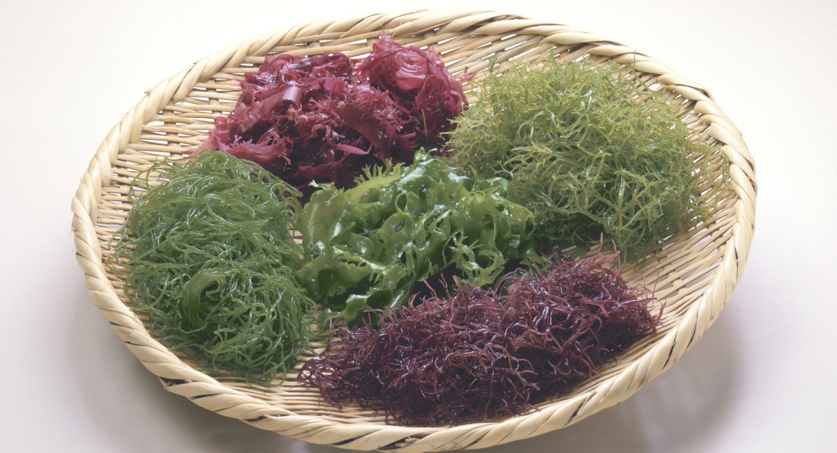 2016 legmenőbb étkezési trendjei 2016 legmenőbb étkezési trendjei