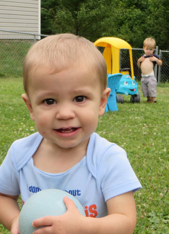 Itt vannak 2015 legviccesebb fotóbombái!