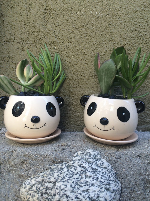 21 cuki cucc, amit a pandarajongók imádni fognak - képek