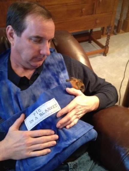 20 állat, akit teljesen hidegen hagy a karácsony - vicces képek