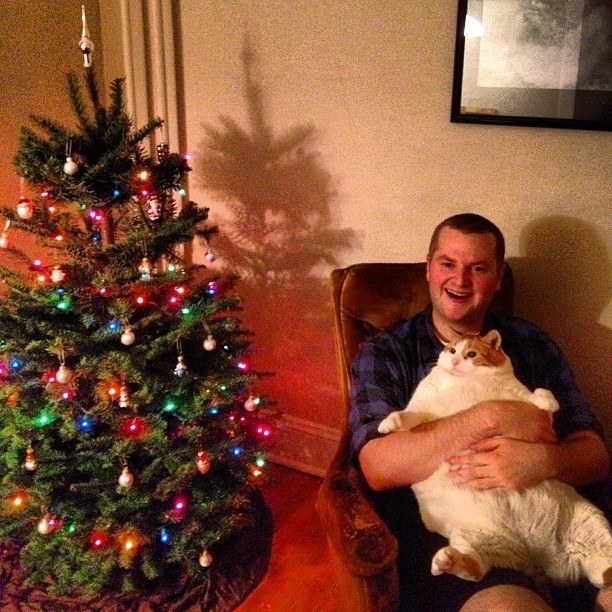 20 állat, akit teljesen hidegen hagy a karácsony - vicces képek