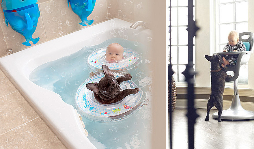 Napi cukiság: a kisbaba és a francia bulldog barátsága