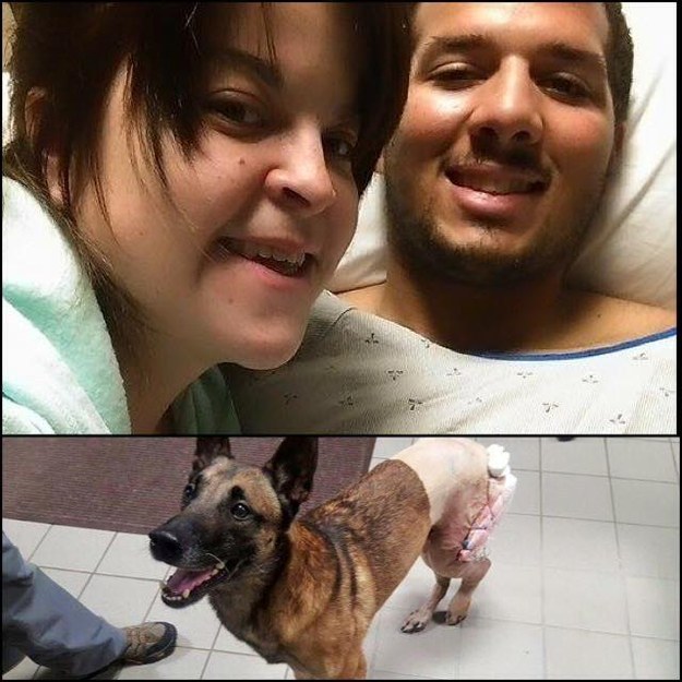 Megható fotó: kutyájával együtt lábadozik a katona