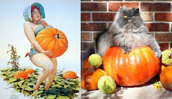 Leesik az állad, ha megnézed, hogy mennyire hasonlítanak a macskák a pin-up lányokhoz