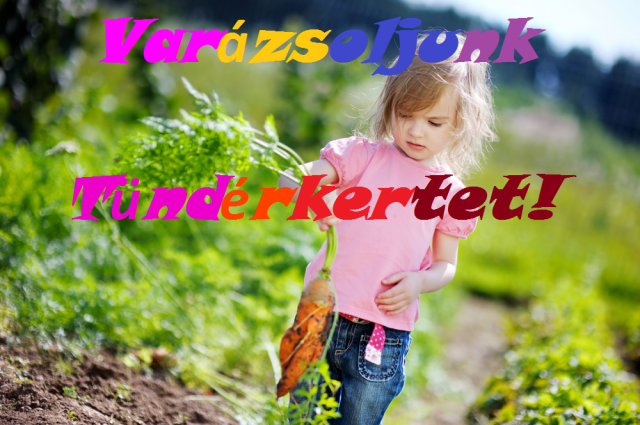 Különleges karácsony: adomány, ahogy nem is gondoltál még rá