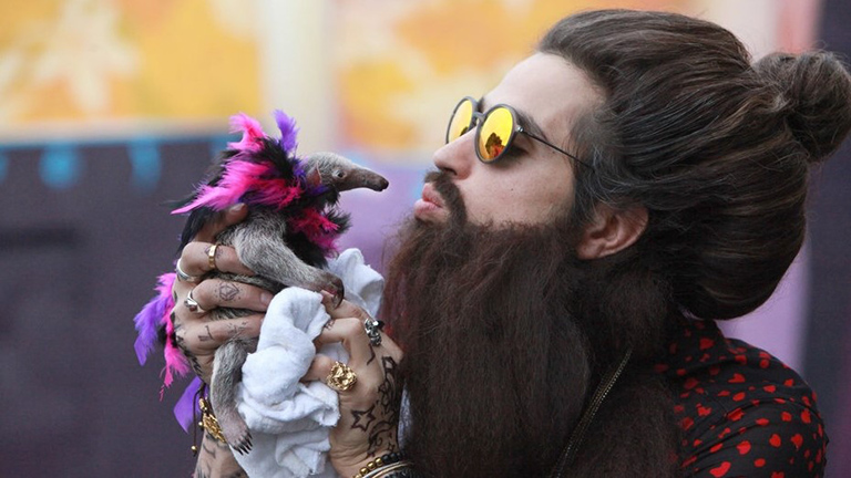 Az év 6 legemlékezetesebb szőrzete