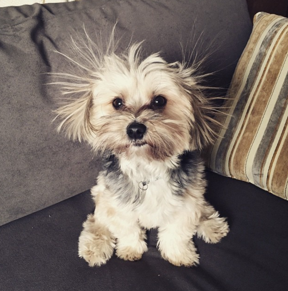 14 kínzó kérdés, ami egyből eszünkbe jut, amikor hidegre fordul kint az idő - vicces képek 14 kínzó kérdés, ami egyből eszünkbe jut, amikor hidegre fordul kint az idő - vicces képek