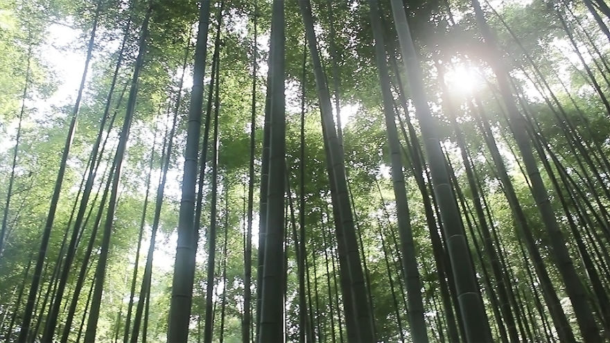 Japán ezer arca képekben - lenyűgöző fotók