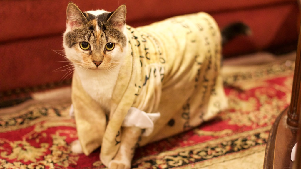 A legbizarrabb ajándék: karácsonyi kezeslábas az egész családnak - és a macskának is 