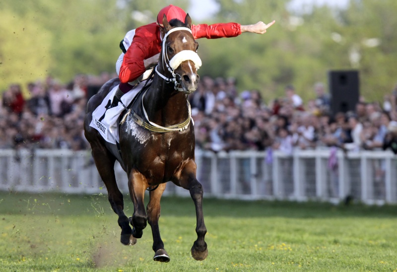 Vérmérgezés vitte el Overdose-t Vérmérgezés vitte el Overdose-t